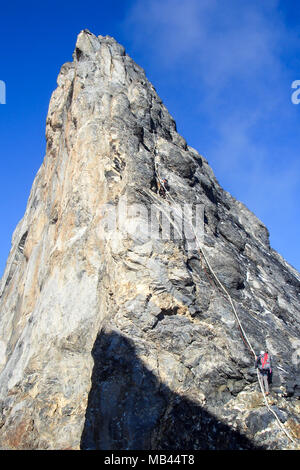 D'alpinistes sur l'Arête Mittellegi célèbre de montagne près de Grindelwald dans les Alpes Suisses Banque D'Images