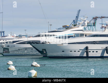 Les bateaux de plaisance Royal Valencia Espagne Banque D'Images