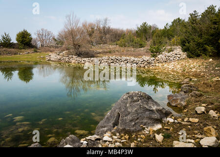 De petits étangs d'eau pour les moutons au printemps près de Lubenice, Cres Croatie Banque D'Images