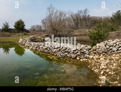 De petits étangs d'eau pour les moutons au printemps près de Lubenice, Cres Croatie Banque D'Images