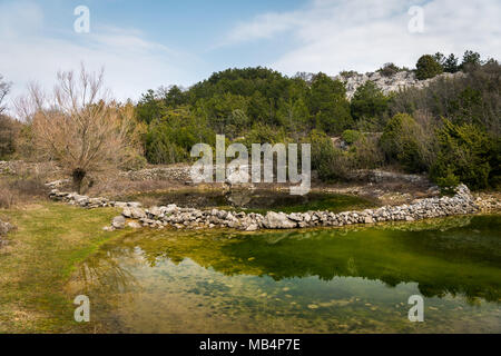 De petits étangs d'eau pour les moutons au printemps près de Lubenice, Cres Croatie Banque D'Images