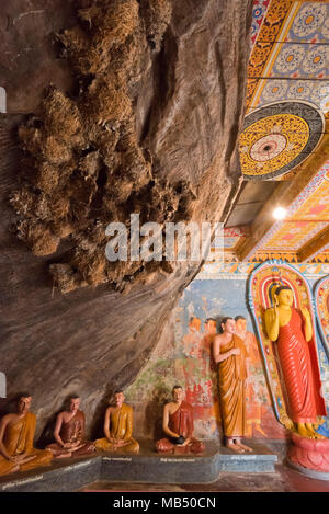 Vue verticale d'oiseaux nichant à l'intérieur du Temple Isurumuniya dans Anuradhapura, Sri Lanka. Banque D'Images