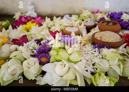 Close up horizontal de fleurs à l'autel de Jaya Sri Maha Bodhi dans Anuradhapura, Sri Lanka. Banque D'Images