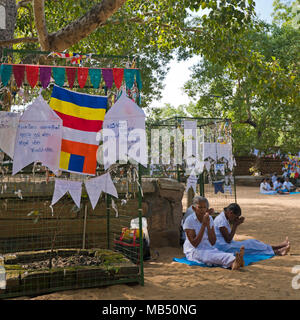 Place près de personnes priaient à l'arbre de la Bodhi à Jaya Sri Maha Bodhi dans Anuradhapura, Sri Lanka. Banque D'Images