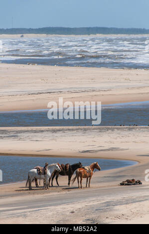 L'équitation à l'estuaire de l'Atlantique dans la Laguna de Castillo, Barra de Valizas, Parc National Cabo Polonio Banque D'Images