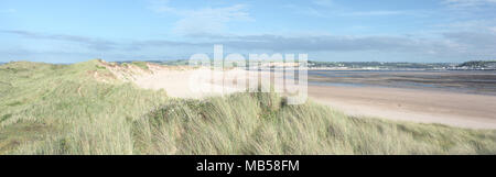 Dunes de sable en été, Devon UK Point Crow Banque D'Images