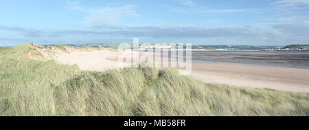 Dunes de sable en été, Devon UK Point Crow Banque D'Images