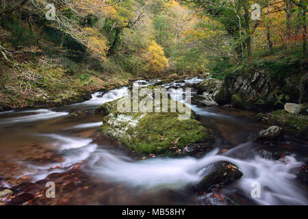 East Lynn, près de Watersmeet en automne Parc National d'Exmoor Somerset UK Banque D'Images