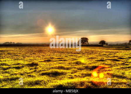 Village d'Shocklach, Cheshire, Angleterre. Coucher du soleil sur un artistique Cheshire champ près du village de Shocklach. Banque D'Images