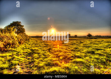 Village d'Shocklach, Cheshire, Angleterre. Coucher du soleil sur un artistique Cheshire champ près du village de Shocklach. Banque D'Images