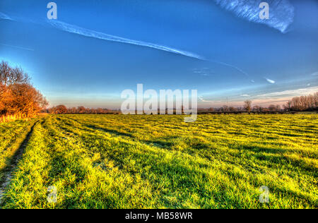 Cheshire, Angleterre rurale. Vue artistique de l'automne un sentier de randonnée et de terrain dans les régions rurales de Cheshire. Banque D'Images