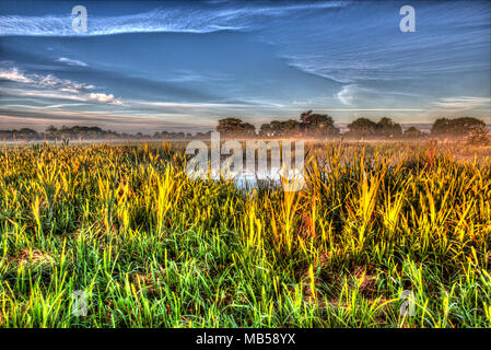 Village de Coddington, Angleterre. Lever du soleil sur artistique un étang d'eau douce dans un domaine agricole de Cheshire. Banque D'Images