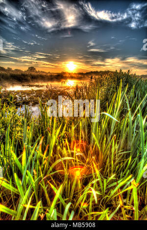 Village de Coddington, Angleterre. Lever du soleil sur artistique un étang d'eau douce dans un domaine agricole de Cheshire. Banque D'Images