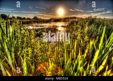 Village de Coddington, Angleterre. Lever du soleil sur artistique un étang d'eau douce dans un domaine agricole de Cheshire. Banque D'Images