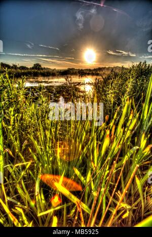 Village de Coddington, Angleterre. Lever du soleil sur artistique un étang d'eau douce dans un domaine agricole de Cheshire. Banque D'Images