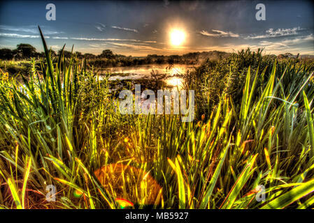 Village de Coddington, Angleterre. Lever du soleil sur artistique un étang d'eau douce dans un domaine agricole de Cheshire. Banque D'Images