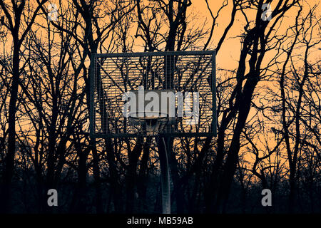 Panier de basket-ball sur le fond de coucher du soleil et d'arbres Banque D'Images