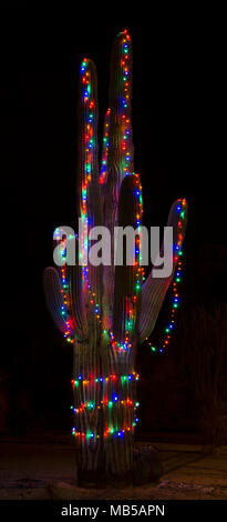 Un cactus géant saguaro est décoré dans les lumières de Noël pour la période des fêtes. Banque D'Images