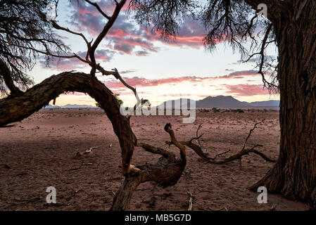 Coucher de soleil sur paysage déserté de NamibRand Nature Reserve, Namibie, Afrique Banque D'Images