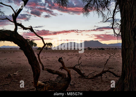 Coucher de soleil sur paysage déserté de NamibRand Nature Reserve, Namibie, Afrique Banque D'Images