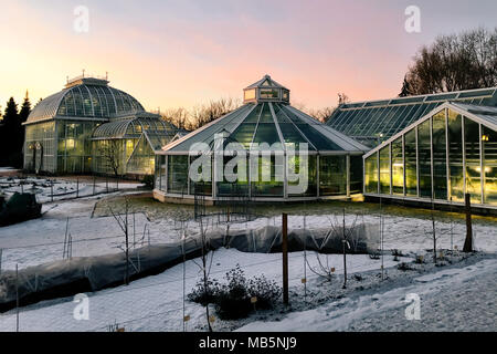 Soleil rose à Helsinki, du Jardin Botanique et Palm House Banque D'Images