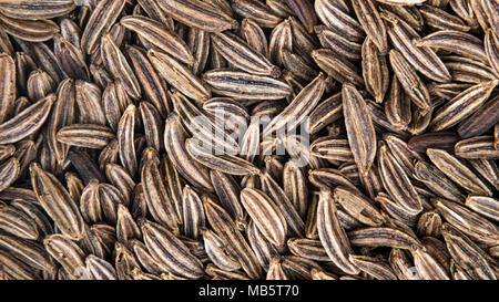 Close-up de graines de carvi comme un fond d'épices. Carum carvi. Belle texture harmonique de la brown striped assaisonnement de grains de cumin séchées. Banque D'Images