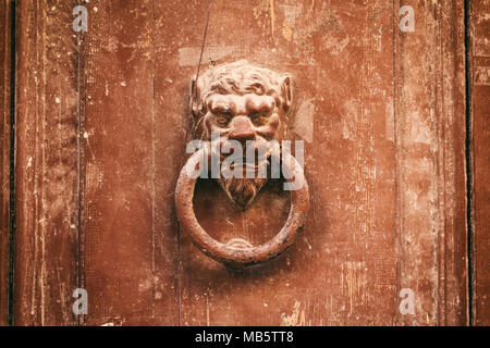 Old rusty knocker lion head sur une porte avant marron Banque D'Images