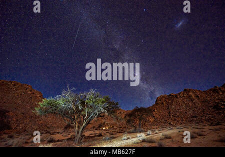 Photo de nuit d'un arbre avec le clair de lune sous les étoiles du ciel dans un paysage tranquille sur Geisterschlucht, Klein-Aus ferme, la Namibie, l'Afrique Banque D'Images