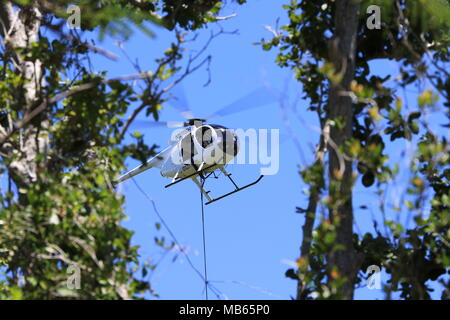 U.S. Army Corps of Engineers d'entrepreneurs Groupe de travail Restauration complète le travail sur une ligne de transmission dans la forêt d'état de Guanica, Puerto Rico, le 6 avril. La ligne relie le Costa Sur Power Plant à Ponce à Mayaguez. La Palma est la huitième plus grande municipalité de Puerto Rico. Les réparations de stabiliser le système pour la région. Banque D'Images