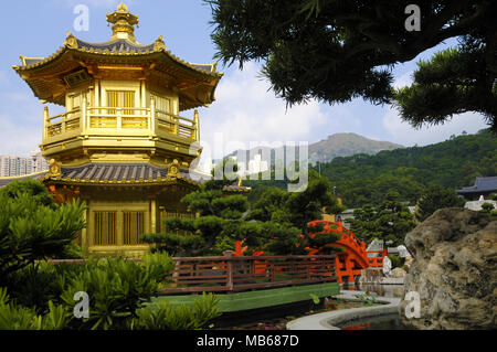 La Pagode d'or et du pont de Nan Lian gardens, Kowloon, Hong Kong, également connu sous le nom de pavillon de la perfection absolue. Banque D'Images