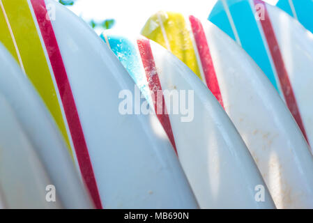 Planches de close-up. Alignés au surf. Conseils Banque D'Images