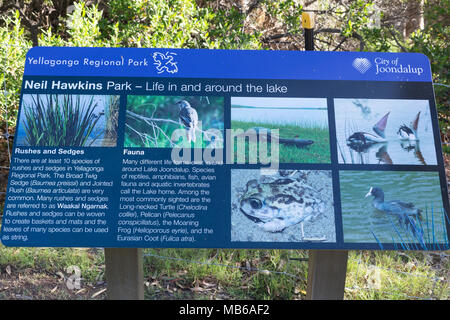 Des panneaux d'information à Neil Hawkins Parc, Lac Joondalup, Yellagonga Regional Park, Perth, Australie occidentale Banque D'Images