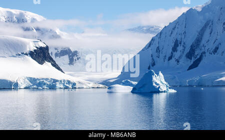 Gentoo pingouin sur l'Île Petermann, Antarctique Banque D'Images