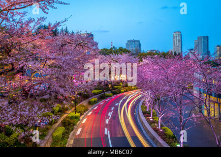 Vue de la nuit de Tokyo Midtown à Roppongi, Japon Banque D'Images