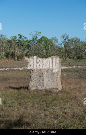 Termitières magnétiques dans la région de Litchfield National Park, Territoire du Nord, Australie. Les 2 mètres de haut mounds sont alignés au nord-sud Banque D'Images