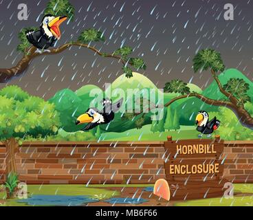 Trois hornbill oiseaux, pluie illustration Illustration de Vecteur