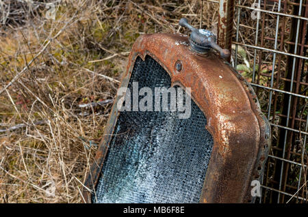 Vintage automobile antique radiateur rouillé et ornementales cap assis sur l'herbe morte Banque D'Images