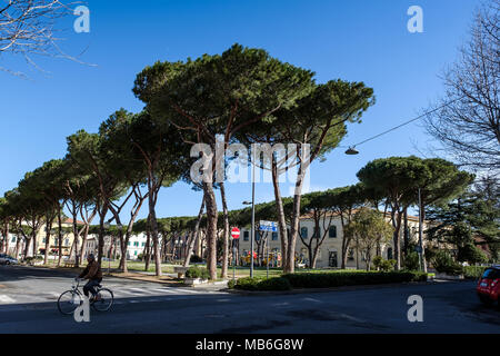 CECINA, Toscane, Italie - 31 mars 2018 : piazza Carducci mieux connu aussi comme la place de l'enfant avec le parc pour s'amuser Banque D'Images