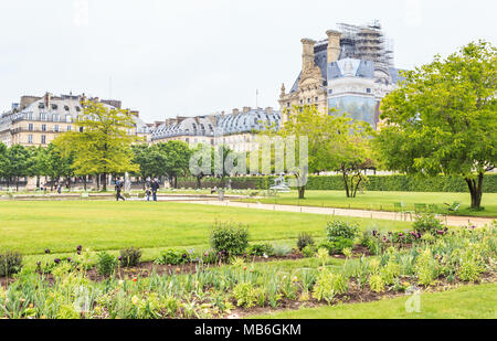 Printemps au jardin des Tuileries avec musée du Louvre au-delà, Paris, France. Banque D'Images