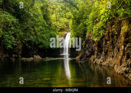 Wainibau Chute d'eau à la fin de Lavena promenade côtière sur l'île de Taveuni (Fidji). Taveuni est la troisième plus grande île des Fidji. Banque D'Images