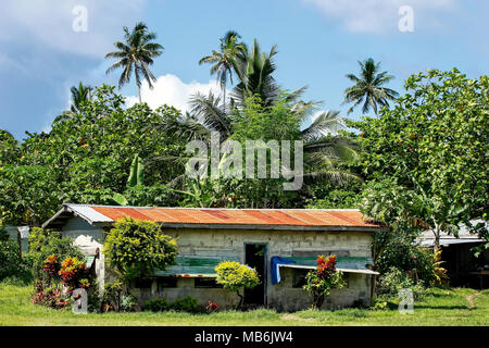 Maison typique dans village fidjien Lavena sur Taveuni Island (Fidji). Taveuni est la troisième plus grande île des Fidji. Banque D'Images