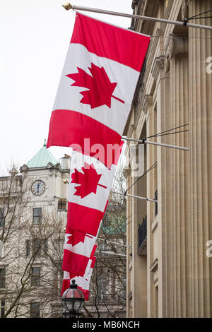 Drapeaux de la feuille d'érable (l'Unifolié) volant à l'extérieur de la Maison du Canada, le Haut-commissariat du Canada, sur Trafalgar Square, Londres, UK Banque D'Images