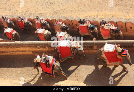 Croissant sur le dos d'éléphants à America Fort, Jaipur, Inde Banque D'Images