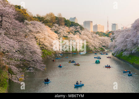 Tokyo, Japon - 28 mars 2018 : les gens et profiter de la navigation de plaisance à chidorigafuchi pour la vue voyant sakura cherry blossom festival en pleine floraison de printemps sur la mer Banque D'Images