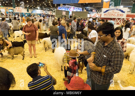 Les parents, les jeunes enfants et les animaux dans le zoo pour enfants, Houston Livestock Show and Rodeo, Houston, Texas USA Banque D'Images