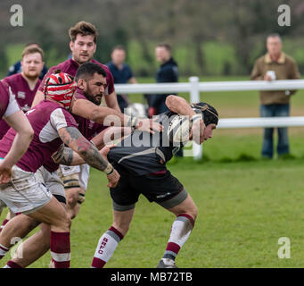 Brentwood, Essex 7 avril 2018 Brentwood RFC 1er XV (92) vs Ruislip RFC (5) match de rugby London & SE Division London 1 nord, joué à Brentwood Essex Crédit : Ian Davidson/Alamy Live News Banque D'Images