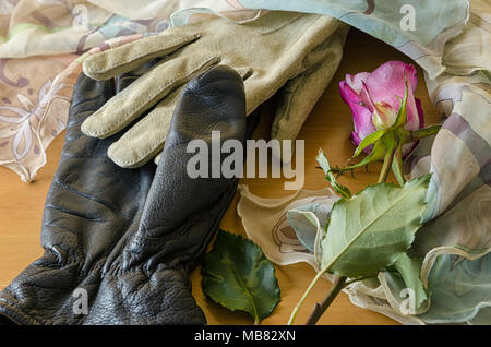 Composition poétique avec des gants et une rose dans look vintage Banque D'Images