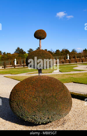 Château de Versailles (château de Versailles), site du patrimoine mondial de l'UNESCO, France - détail d'un bush bien entretenu dans le parc Banque D'Images