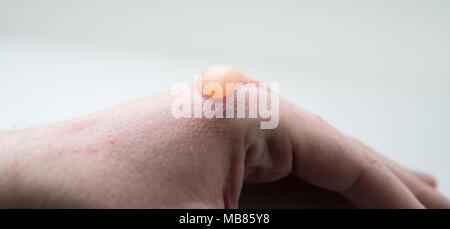 Close up de grande ampoule sur une main Banque D'Images