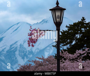 La neige et le lightssssssssssssssssssssssssssssss par Sakura Banque D'Images